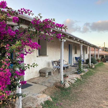 Agriturismo La Tana Di Lu Maccioni Санта-Тереза-Галлура Екстер'єр фото