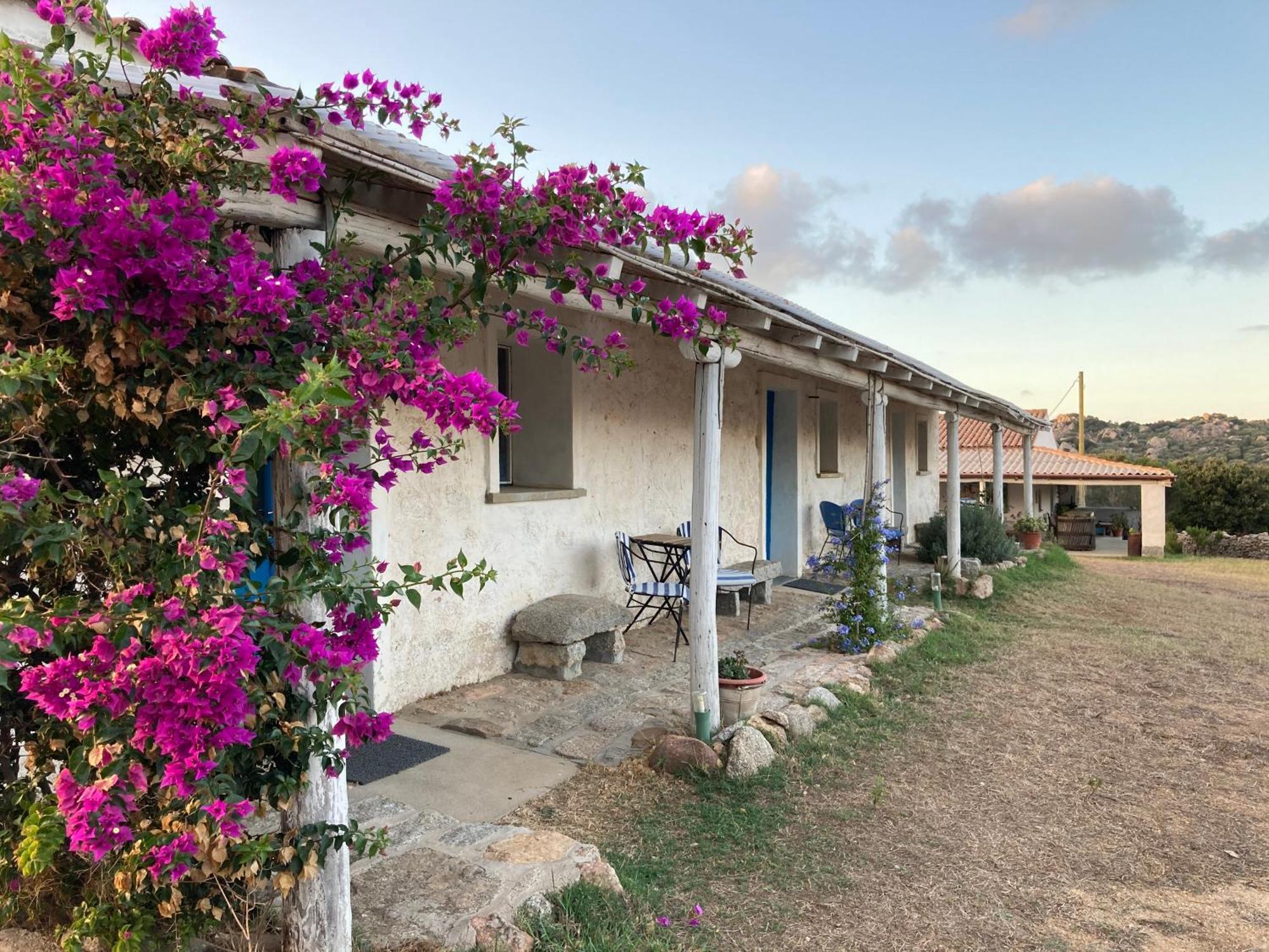 Agriturismo La Tana Di Lu Maccioni Санта-Тереза-Галлура Екстер'єр фото
