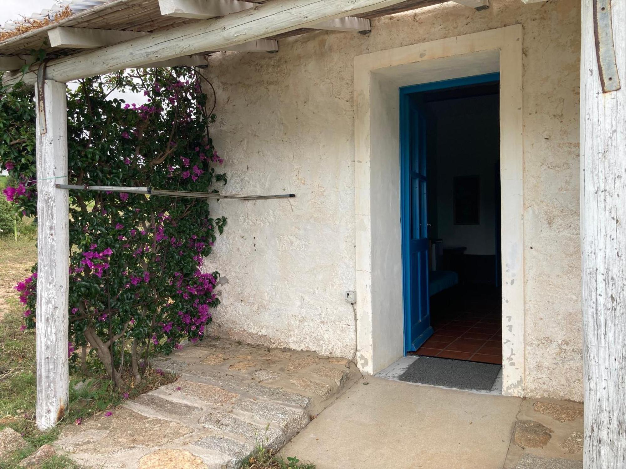 Agriturismo La Tana Di Lu Maccioni Санта-Тереза-Галлура Екстер'єр фото
