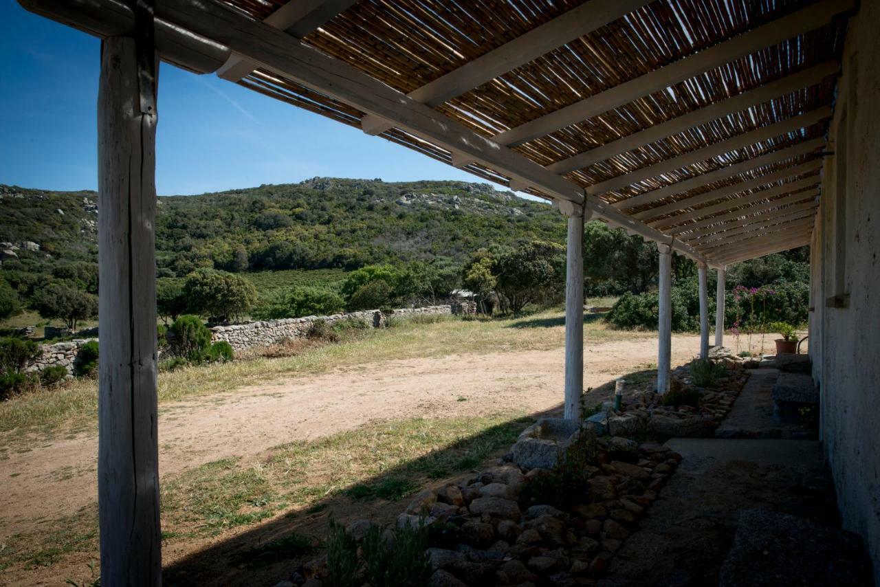 Agriturismo La Tana Di Lu Maccioni Санта-Тереза-Галлура Екстер'єр фото