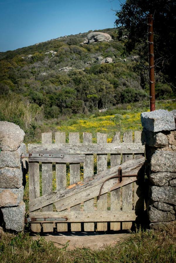 Agriturismo La Tana Di Lu Maccioni Санта-Тереза-Галлура Екстер'єр фото