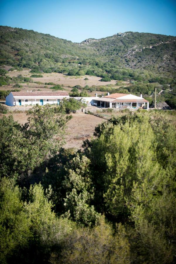 Agriturismo La Tana Di Lu Maccioni Санта-Тереза-Галлура Екстер'єр фото